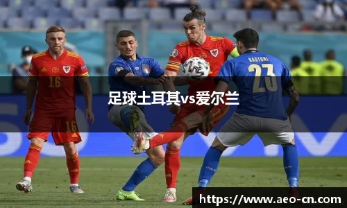 足球土耳其vs爱尔兰