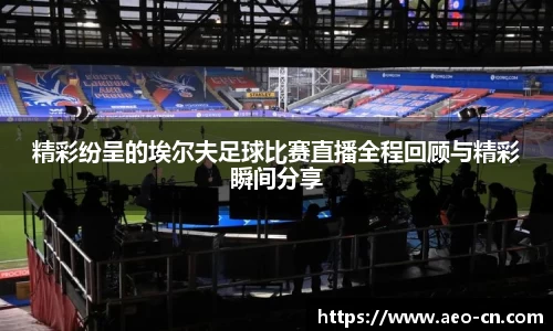 精彩纷呈的埃尔夫足球比赛直播全程回顾与精彩瞬间分享