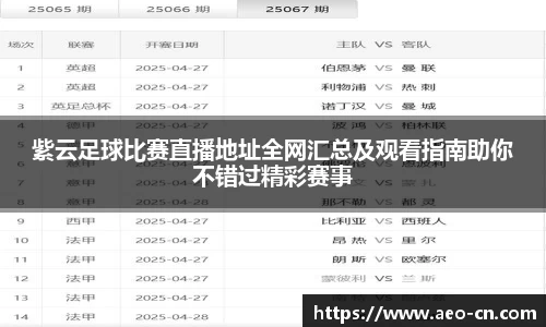 紫云足球比赛直播地址全网汇总及观看指南助你不错过精彩赛事