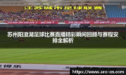 苏州阳澄湖足球比赛直播精彩瞬间回顾与赛程安排全解析