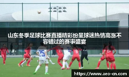 山东冬季足球比赛直播精彩纷呈球迷热情高涨不容错过的赛事盛宴