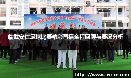 临武安仁足球比赛精彩直播全程回顾与赛况分析