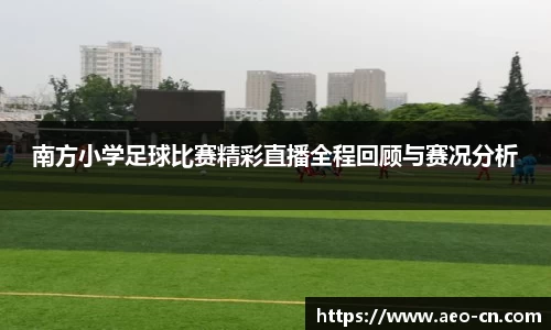 南方小学足球比赛精彩直播全程回顾与赛况分析