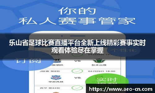 乐山省足球比赛直播平台全新上线精彩赛事实时观看体验尽在掌握