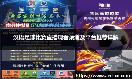 汉语足球比赛直播观看渠道及平台推荐详解