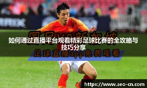 如何通过直播平台观看精彩足球比赛的全攻略与技巧分享