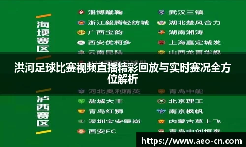 洪河足球比赛视频直播精彩回放与实时赛况全方位解析