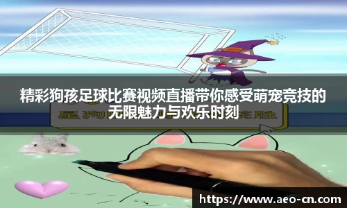 精彩狗孩足球比赛视频直播带你感受萌宠竞技的无限魅力与欢乐时刻