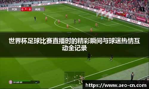 世界杯足球比赛直播时的精彩瞬间与球迷热情互动全记录