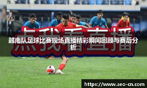 越南队足球比赛现场直播精彩瞬间回顾与赛后分析