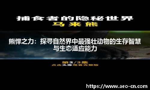 熊悍之力：探寻自然界中最强壮动物的生存智慧与生态适应能力