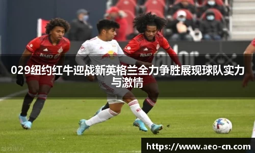 029纽约红牛迎战新英格兰全力争胜展现球队实力与激情