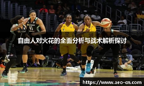 自由人对火花的全面分析与战术解析探讨